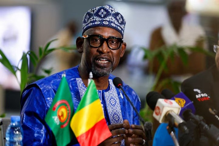 وزير خارجية مالي: سيطرة الجهاديين على البلاد أمر بعيد الاحتمال